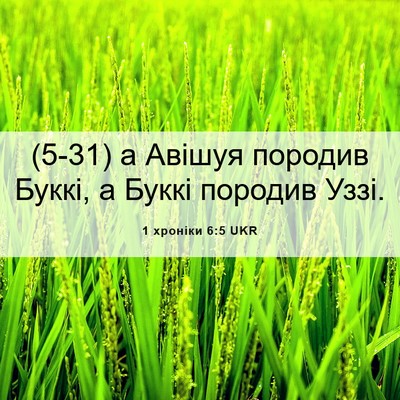 Picture 06 - 1 хроніки 6:5 UKR - (5-31) а Авішуя породив Буккі, - Bible Verse Picture