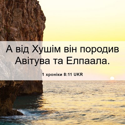 Picture 06 - 1 хроніки 8:11 UKR - А від Хушім він породив - Bible Verse Picture