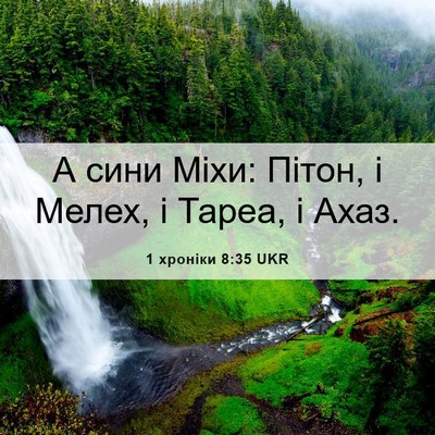 Picture 06 - 1 хроніки 8:35 UKR - А сини Міхи: Пітон, і Мелех, - Bible Verse Picture