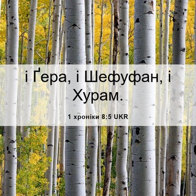 Picture 06 - 1 хроніки 8:5 UKR - і Ґера, і Шефуфан, і - Bible Verse Picture