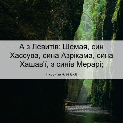Picture 06 - 1 хроніки 9:14 UKR - А з Левитів: Шемая, син - Bible Verse Picture