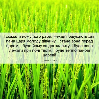 Picture 06 - 1 царів 1:2 UKR - І сказали йому його раби: - Bible Verse Picture