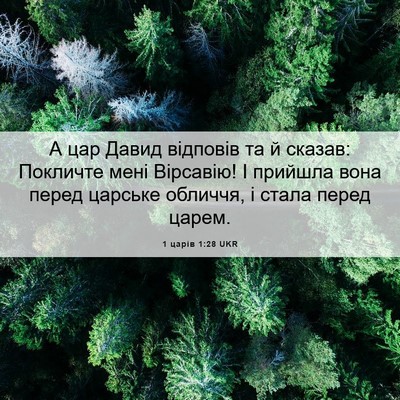 Picture 06 - 1 царів 1:28 UKR - А цар Давид відповів та й - Bible Verse Picture