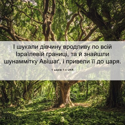 Picture 06 - 1 царів 1:3 UKR - І шукали дівчину вродливу - Bible Verse Picture