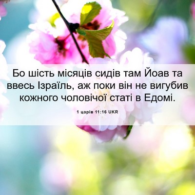 Picture 06 - 1 царів 11:16 UKR - Бо шість місяців сидів там - Bible Verse Picture