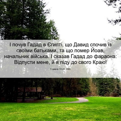 Picture 06 - 1 царів 11:21 UKR - І почув Гадад в Єгипті, що - Bible Verse Picture