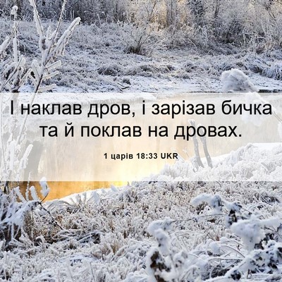 Picture 06 - 1 царів 18:33 UKR - І наклав дров, і зарізав - Bible Verse Picture