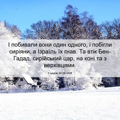 Picture 06 - 1 царів 20:20 UKR - І побивали вони один - Bible Verse Picture