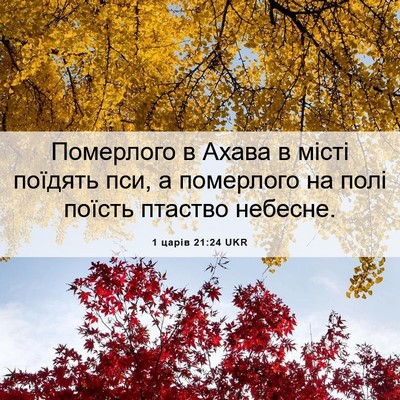 Picture 06 - 1 царів 21:24 UKR - Померлого в Ахава в місті - Bible Verse Picture