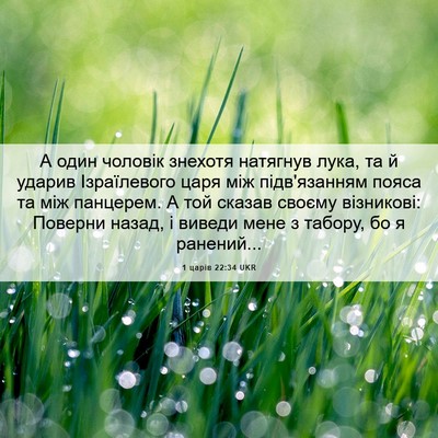 Picture 06 - 1 царів 22:34 UKR - А один чоловік знехотя - Bible Verse Picture