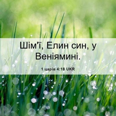 Picture 06 - 1 царів 4:18 UKR - Шім'ї, Елин син, у - Bible Verse Picture
