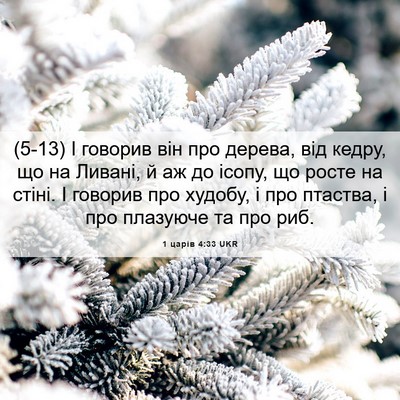 Picture 06 - 1 царів 4:33 UKR - (5-13) І говорив він про - Bible Verse Picture