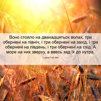 Picture 06 - 1 царів 7:25 UKR - Воно стояло на - Bible Verse Picture
