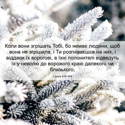 Picture 06 - 1 царів 8:46 UKR - Коли вони згрішать Тобі, бо - Bible Verse Picture