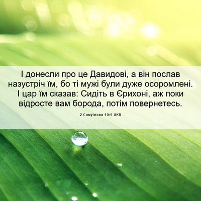 Picture 06 - 2 Самуїлова 10:5 UKR - І донесли про це Давидові, - Bible Verse Picture