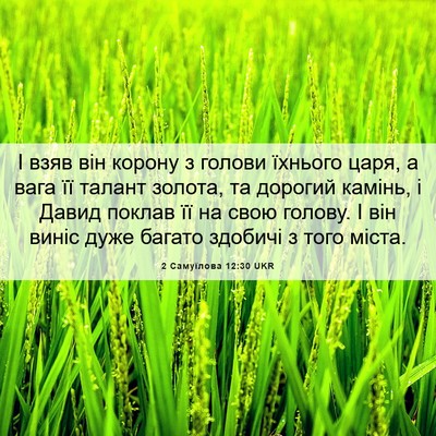 Picture 06 - 2 Самуїлова 12:30 UKR - І взяв він корону з голови - Bible Verse Picture
