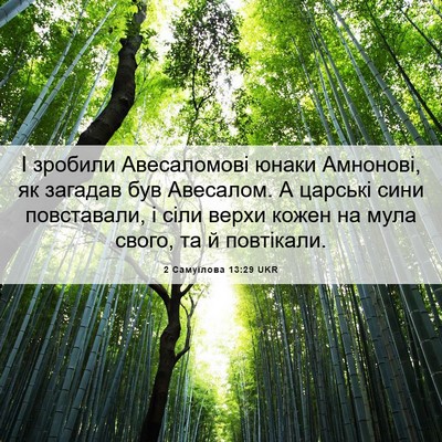 Picture 06 - 2 Самуїлова 13:29 UKR - І зробили Авесаломові - Bible Verse Picture