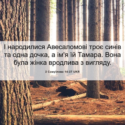 Picture 06 - 2 Самуїлова 14:27 UKR - І народилися Авесаломові - Bible Verse Picture