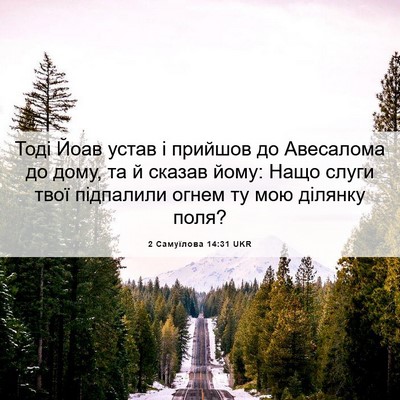 Picture 06 - 2 Самуїлова 14:31 UKR - Тоді Йоав устав і прийшов - Bible Verse Picture