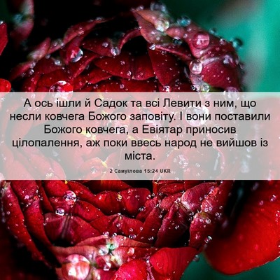 Picture 06 - 2 Самуїлова 15:24 UKR - А ось ішли й Садок та всі - Bible Verse Picture