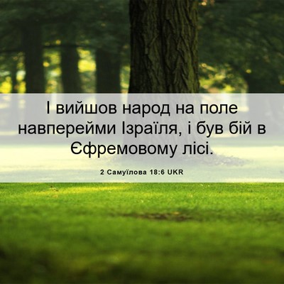 Picture 06 - 2 Самуїлова 18:6 UKR - І вийшов народ на поле - Bible Verse Picture