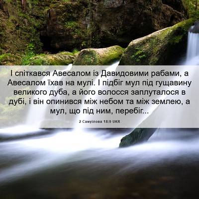 Picture 06 - 2 Самуїлова 18:9 UKR - І спіткався Авесалом із - Bible Verse Picture