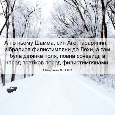 Picture 06 - 2 Самуїлова 23:11 UKR - А по ньому Шамма, син Аґе, - Bible Verse Picture