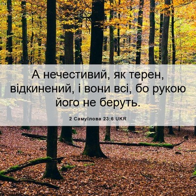 Picture 06 - 2 Самуїлова 23:6 UKR - А нечестивий, як терен, - Bible Verse Picture