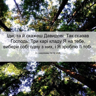 Picture 06 - 2 Самуїлова 24:12 UKR - Іди, та й скажеш Давидові: - Bible Verse Picture