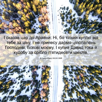 Picture 06 - 2 Самуїлова 24:24 UKR - І сказав цар до Аравни: Ні, - Bible Verse Picture