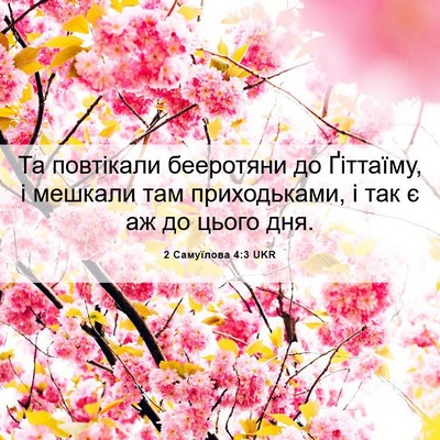 Picture 06 - 2 Самуїлова 4:3 UKR - Та повтікали бееротяни до - Bible Verse Picture