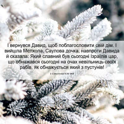 Picture 06 - 2 Самуїлова 6:20 UKR - І вернувся Давид, щоб - Bible Verse Picture