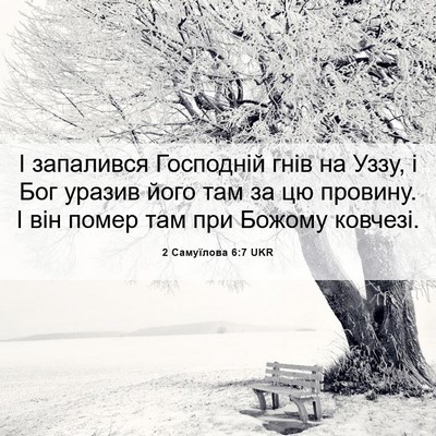 Picture 06 - 2 Самуїлова 6:7 UKR - І запалився Господній гнів - Bible Verse Picture