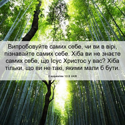 Picture 06 - 2 коринтян 13:5 UKR - Випробовуйте самих себе, - Bible Verse Picture
