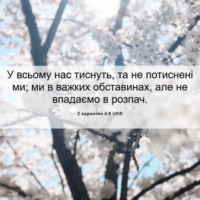 Picture 06 - 2 коринтян 4:8 UKR - У всьому нас тиснуть, та не - Bible Verse Picture
