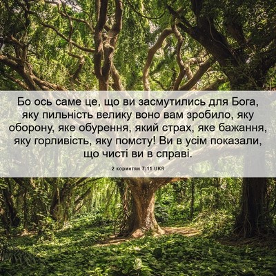 Picture 06 - 2 коринтян 7:11 UKR - Бо ось саме це, що ви - Bible Verse Picture