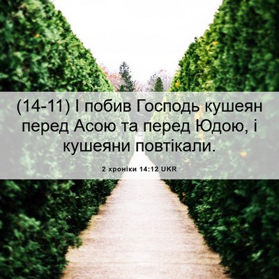 Picture 06 - 2 хроніки 14:12 UKR - (14-11) І побив Господь кушеян - Bible Verse Picture