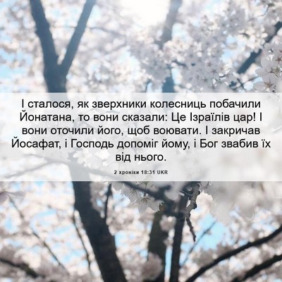 Picture 06 - 2 хроніки 18:31 UKR - І сталося, як зверхники - Bible Verse Picture