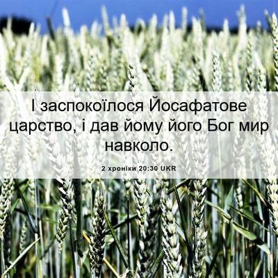 Picture 06 - 2 хроніки 20:30 UKR - І заспокоїлося Йосафатове - Bible Verse Picture