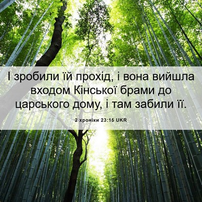 Picture 06 - 2 хроніки 23:15 UKR - І зробили їй прохід, і вона - Bible Verse Picture
