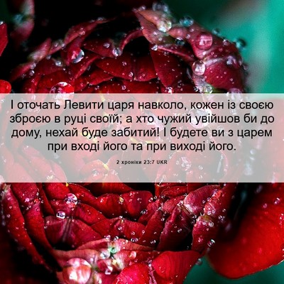 Picture 06 - 2 хроніки 23:7 UKR - І оточать Левити царя - Bible Verse Picture