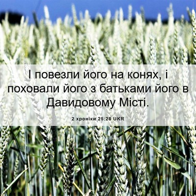 Picture 06 - 2 хроніки 25:28 UKR - І повезли його на конях, і - Bible Verse Picture