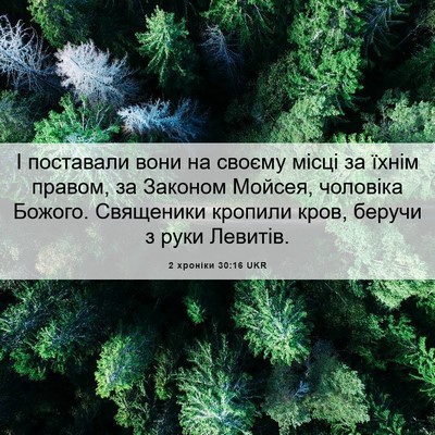 Picture 06 - 2 хроніки 30:16 UKR - І поставали вони на своєму - Bible Verse Picture