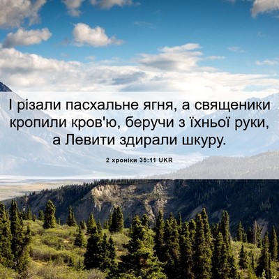 Picture 06 - 2 хроніки 35:11 UKR - І різали пасхальне ягня, а - Bible Verse Picture