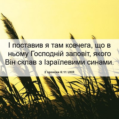 Picture 06 - 2 хроніки 6:11 UKR - І поставив я там ковчега, - Bible Verse Picture