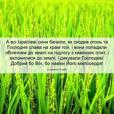 Picture 06 - 2 хроніки 7:3 UKR - А всі Ізраїлеві сини - Bible Verse Picture