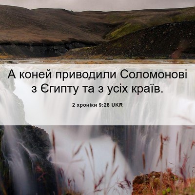 Picture 06 - 2 хроніки 9:28 UKR - А коней приводили - Bible Verse Picture