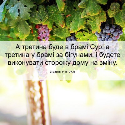 Picture 06 - 2 царів 11:6 UKR - А третина буде в брамі Сур, - Bible Verse Picture