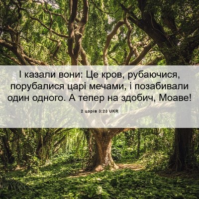 Picture 06 - 2 царів 3:23 UKR - І казали вони: Це кров, - Bible Verse Picture