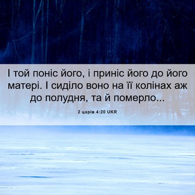 Picture 06 - 2 царів 4:20 UKR - І той поніс його, і приніс - Bible Verse Picture